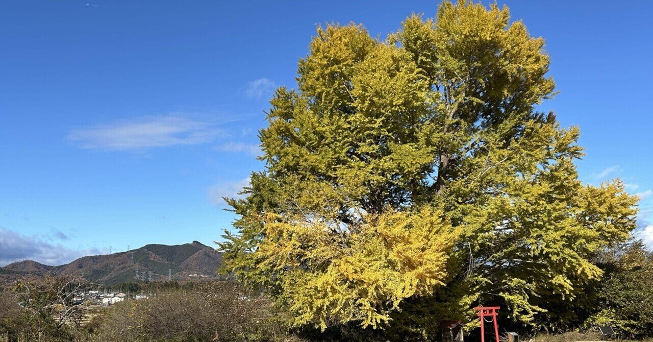【日本産】流れかえる岸辺/ 旧枠FOIL/日本語 ふくしま浜街道トレイル冒険録9・終：遂に全線踏破(鹿島→相馬→新地