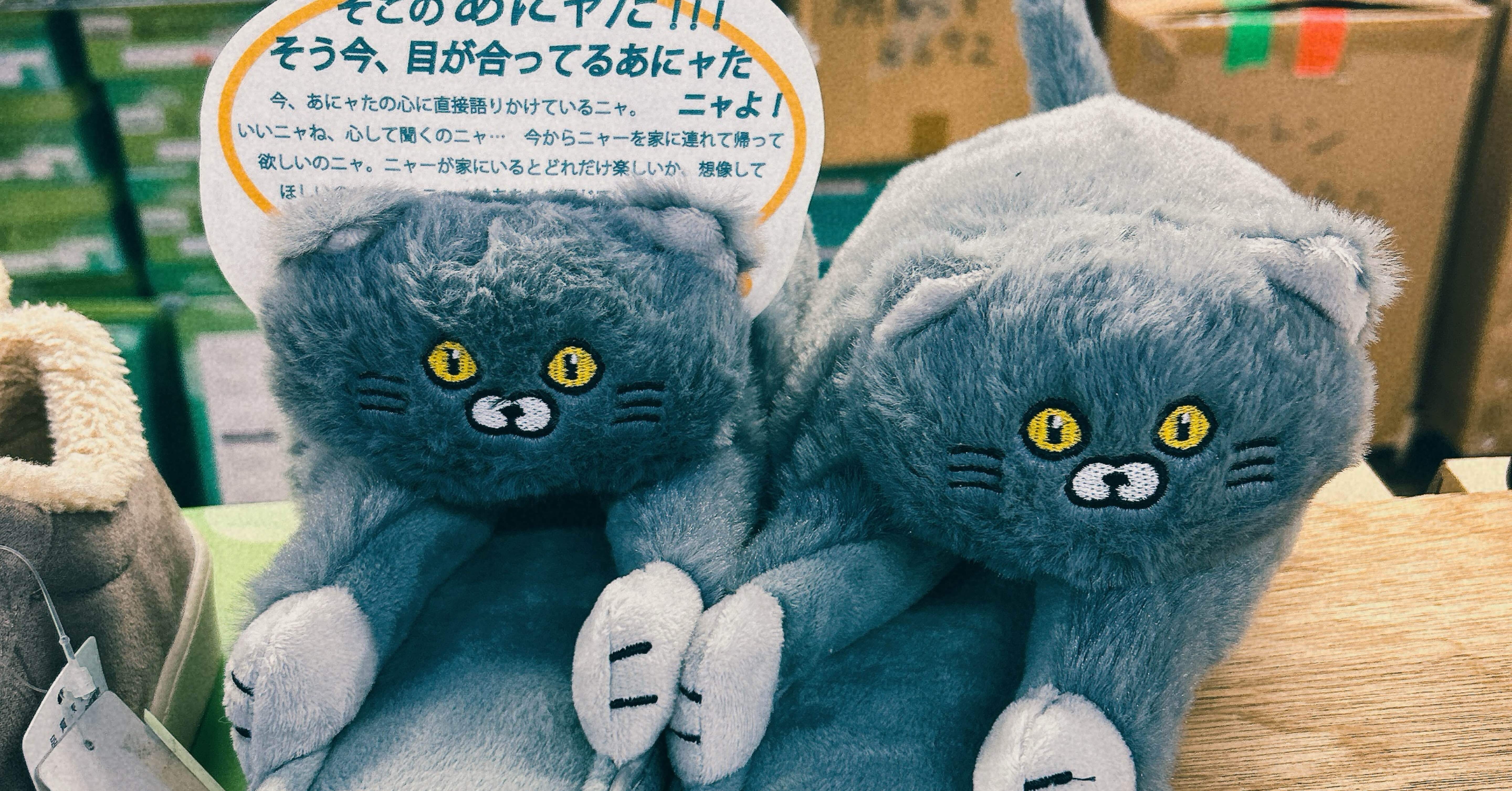 99fa721c3fb3c0833d511e89f9b601