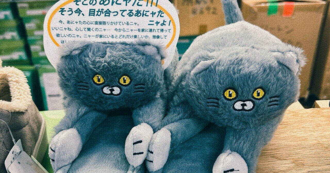 毎朝ドリップ#54 スリッパに擬態したネコを連れ帰った話 2024.12.20