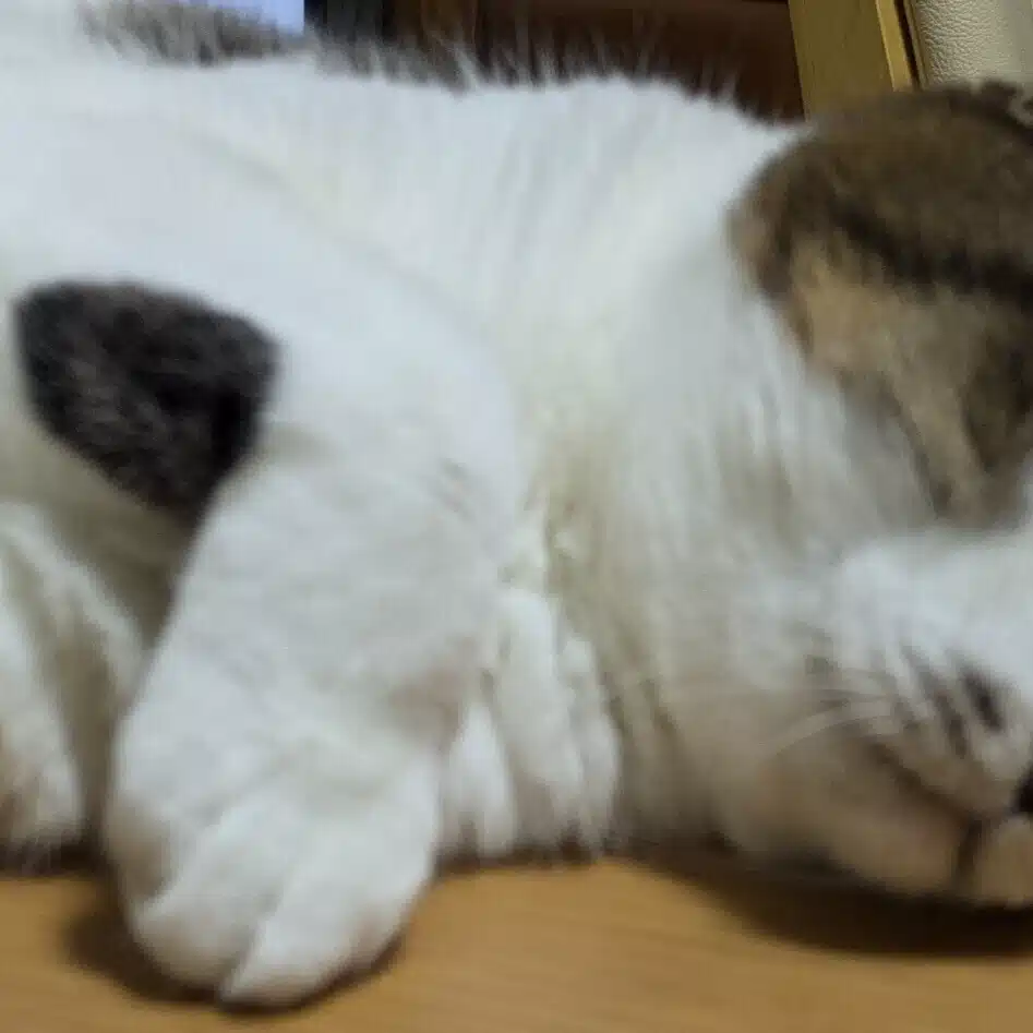 クニオン