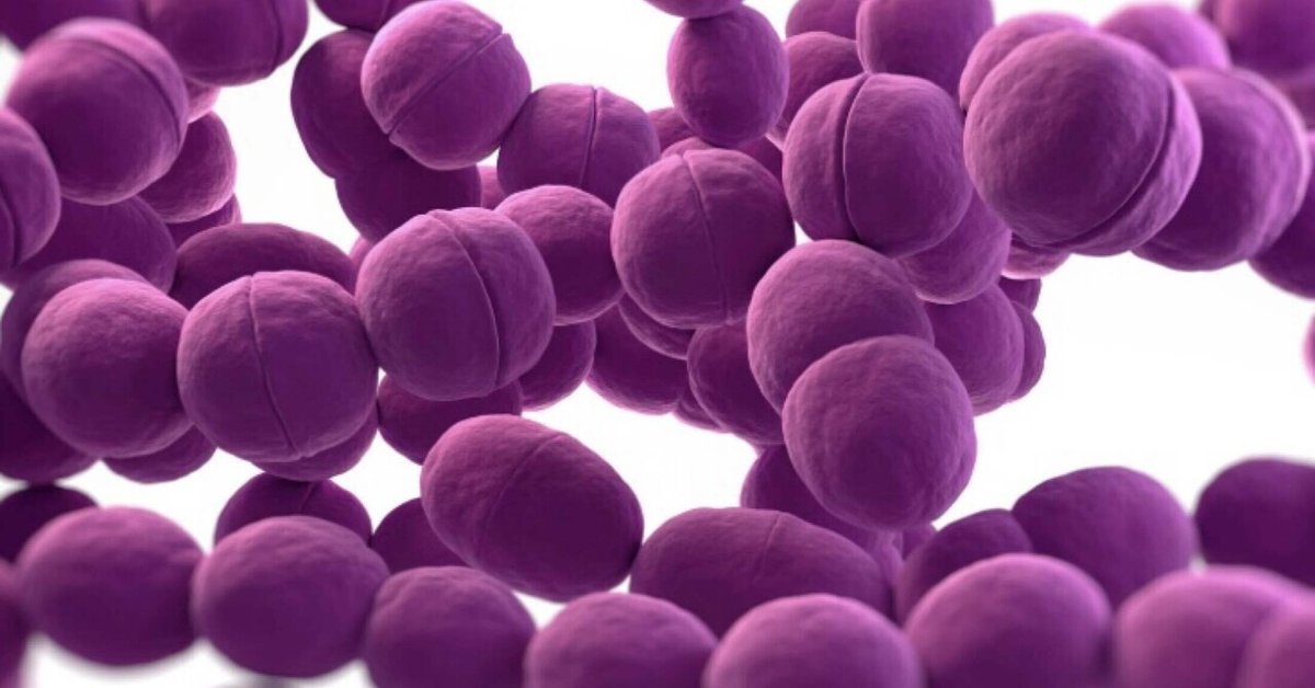 連鎖球菌が非常に横行している1つの理由は、ほとんどの人が亜鉛欠乏症に苦しんでいるからです｜Hirokazu