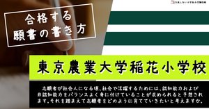 最新版2024年度　東京農業大学稲花小学校　ジャック幼児教育研究 2024年度 東京農業大学稲花小学校ジャック幼児教育研究所 - メルカリ