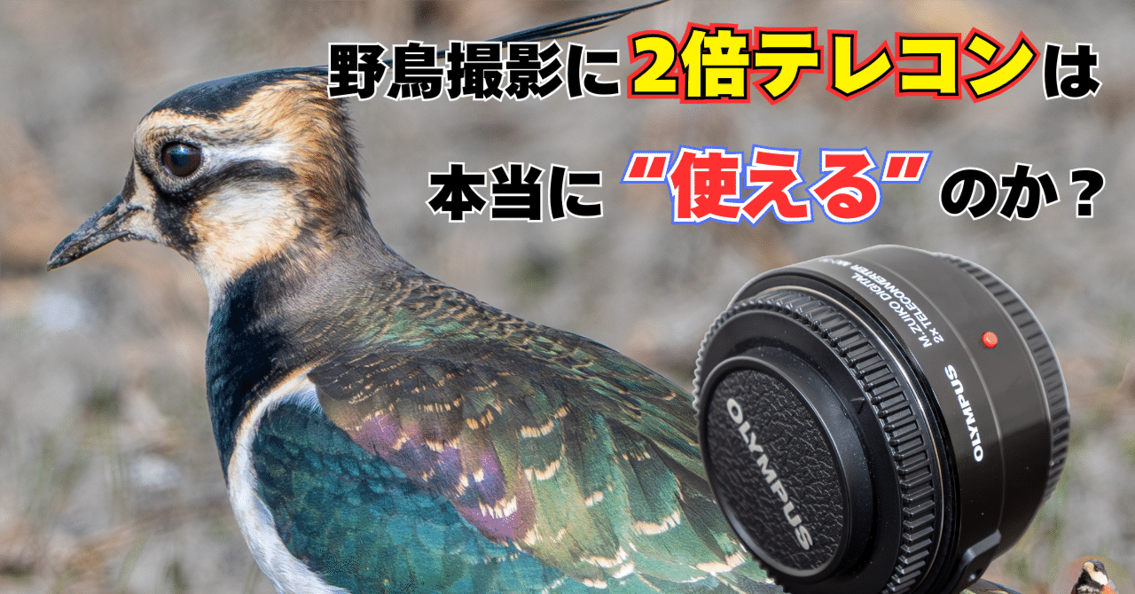 野鳥撮影で2倍テレコンは本当に