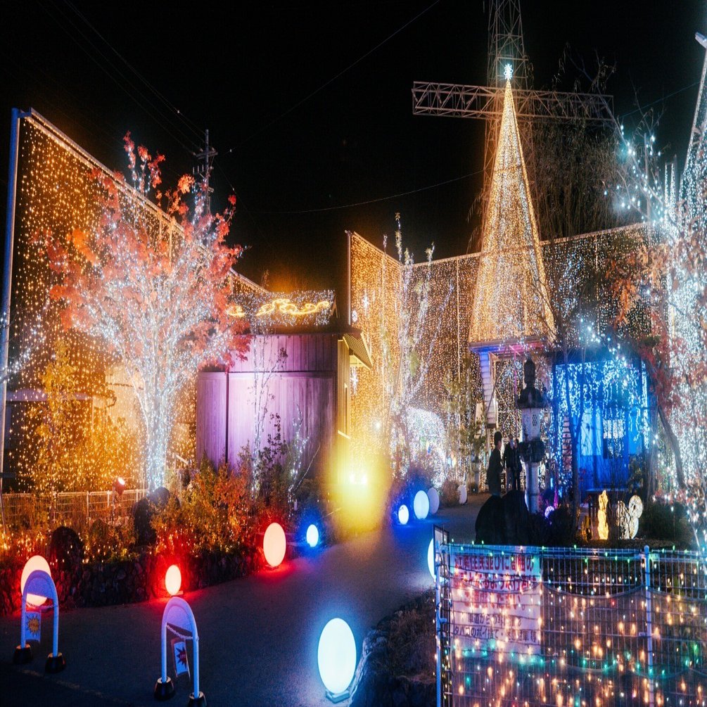 今年もこの季節がやってきた！四万十の冬を彩る「水車亭