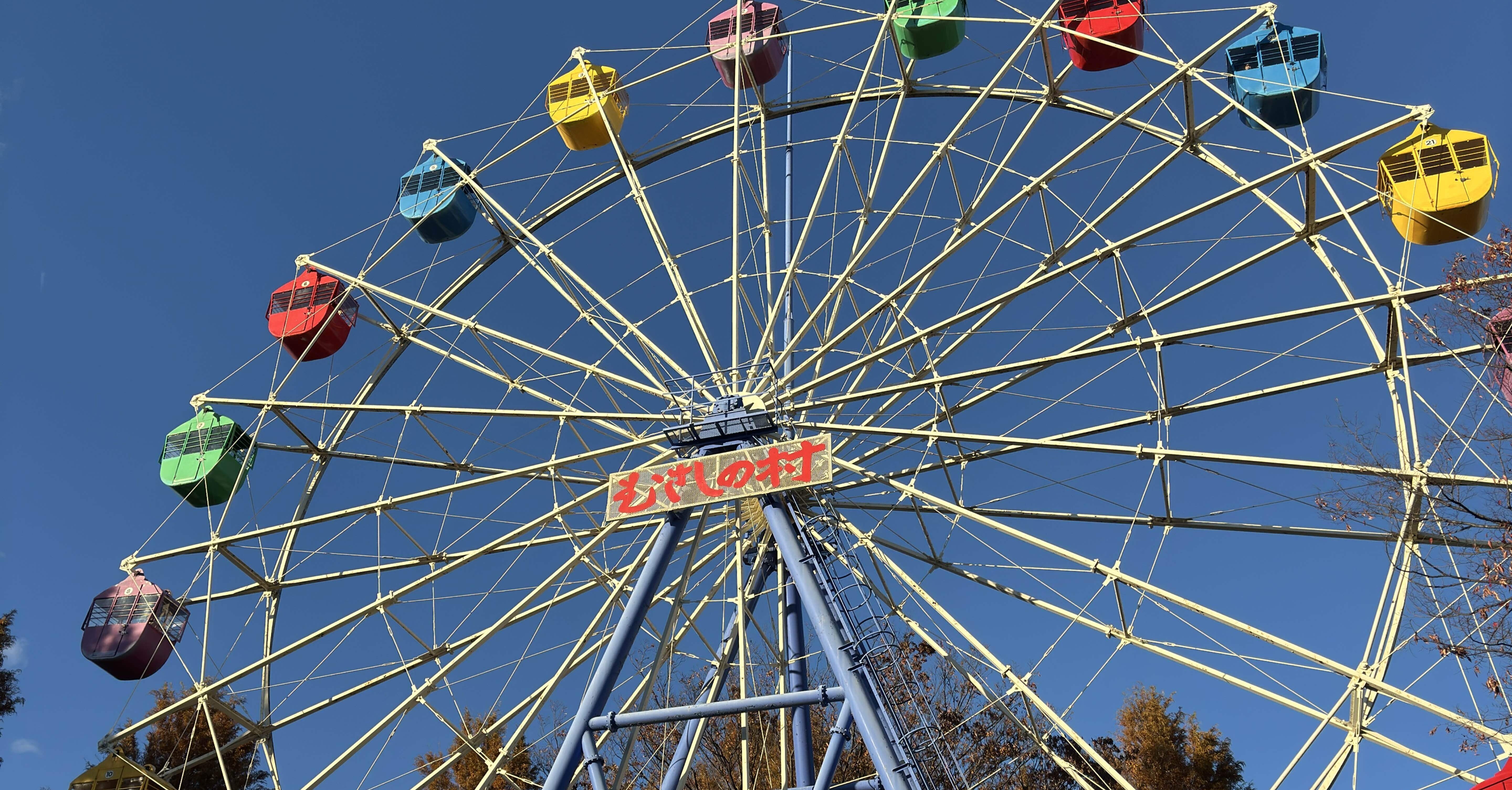 LUMIX S9+SIGMA 28-70mm F2.8 DG DNで遊園地スナップ｜ひげメガネ坊主