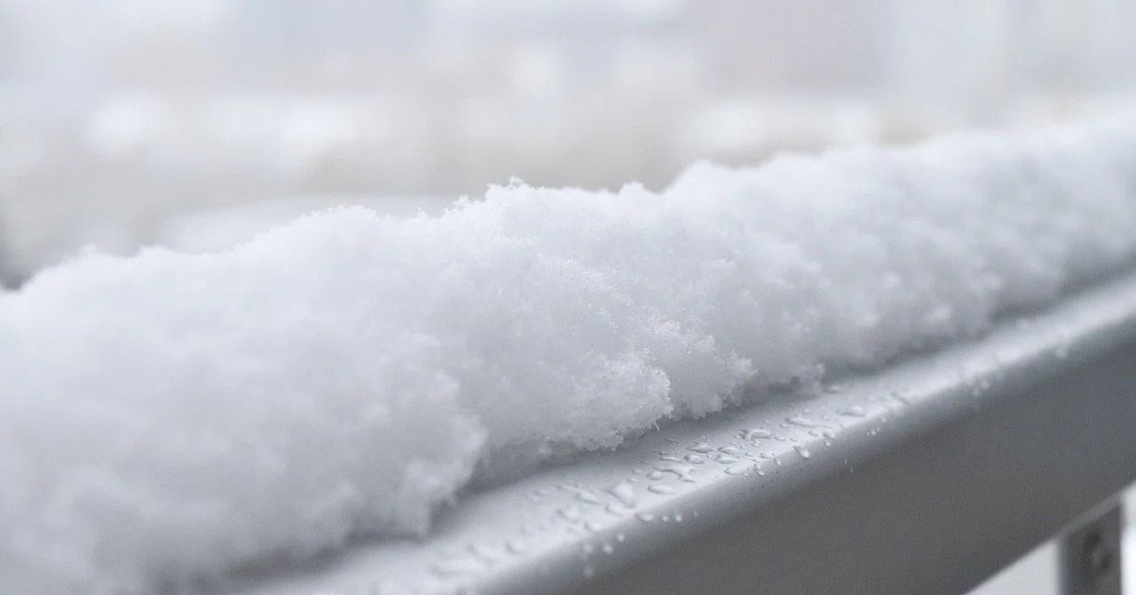 雪の降る季節に 雪吊りと 寒ぶり 暦生活 こよみせいかつ 10周年 Note