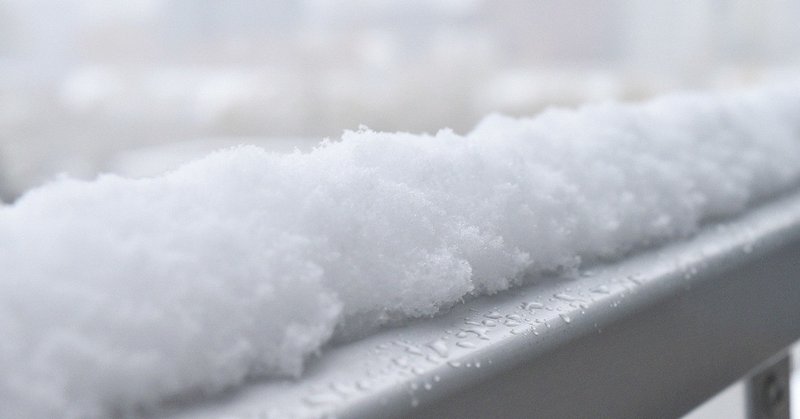 雪の降る季節に。 雪吊りと、寒ぶり。