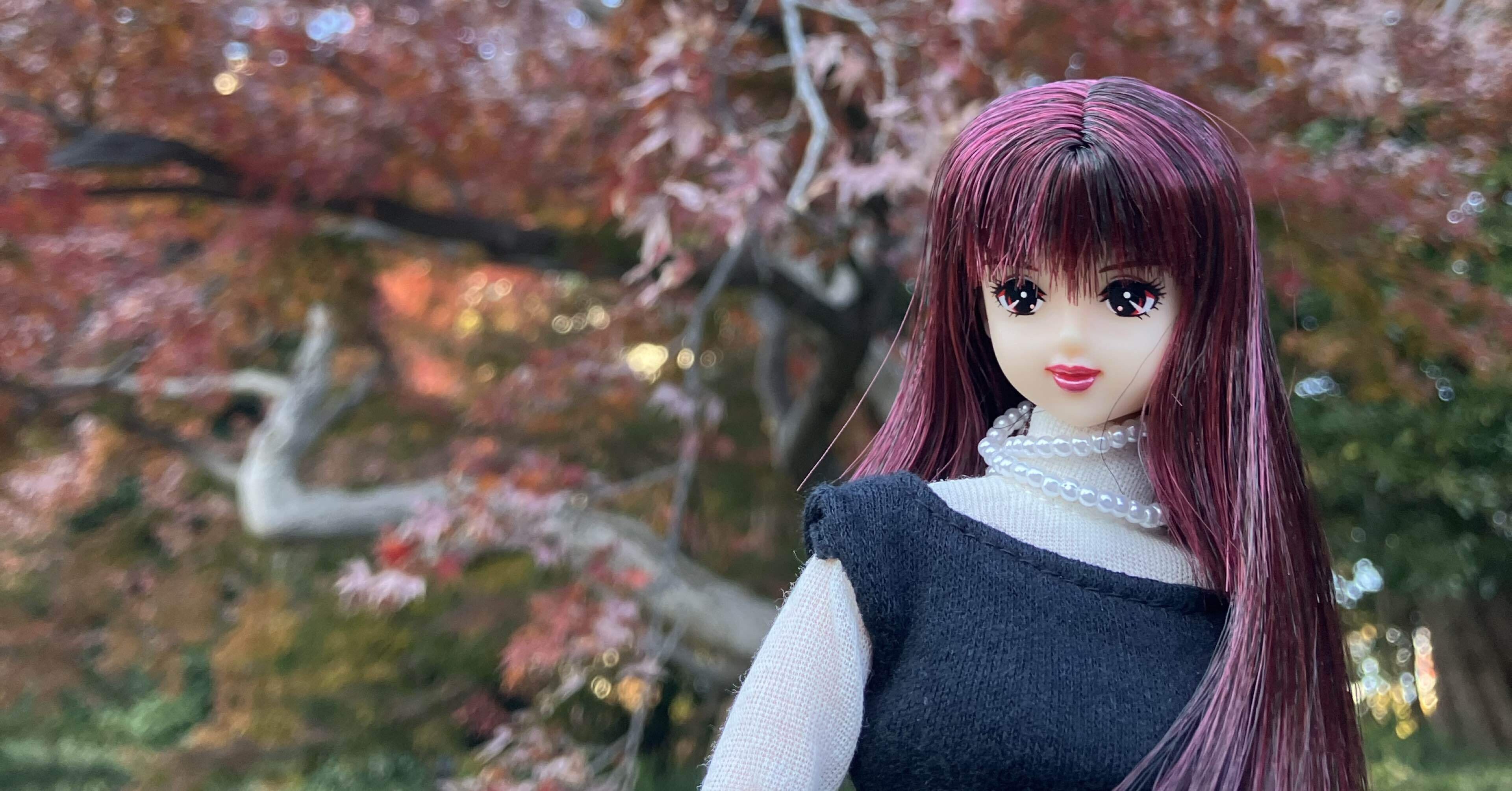 我が家のドール紹介（27㎝編）｜はたこ