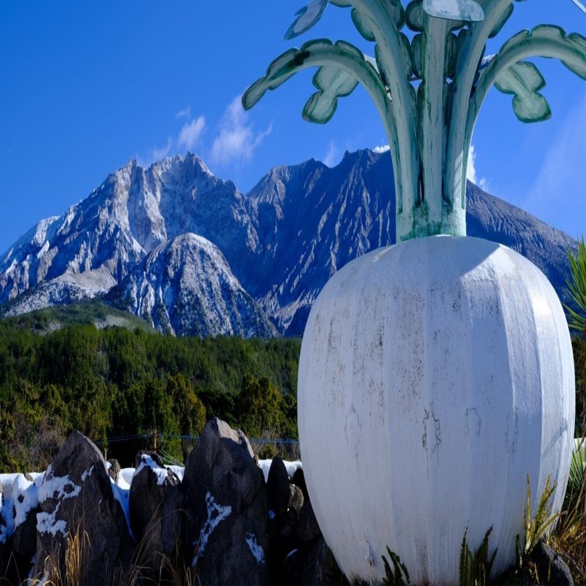 雪化粧桜島の思い出 ｜shinya photo