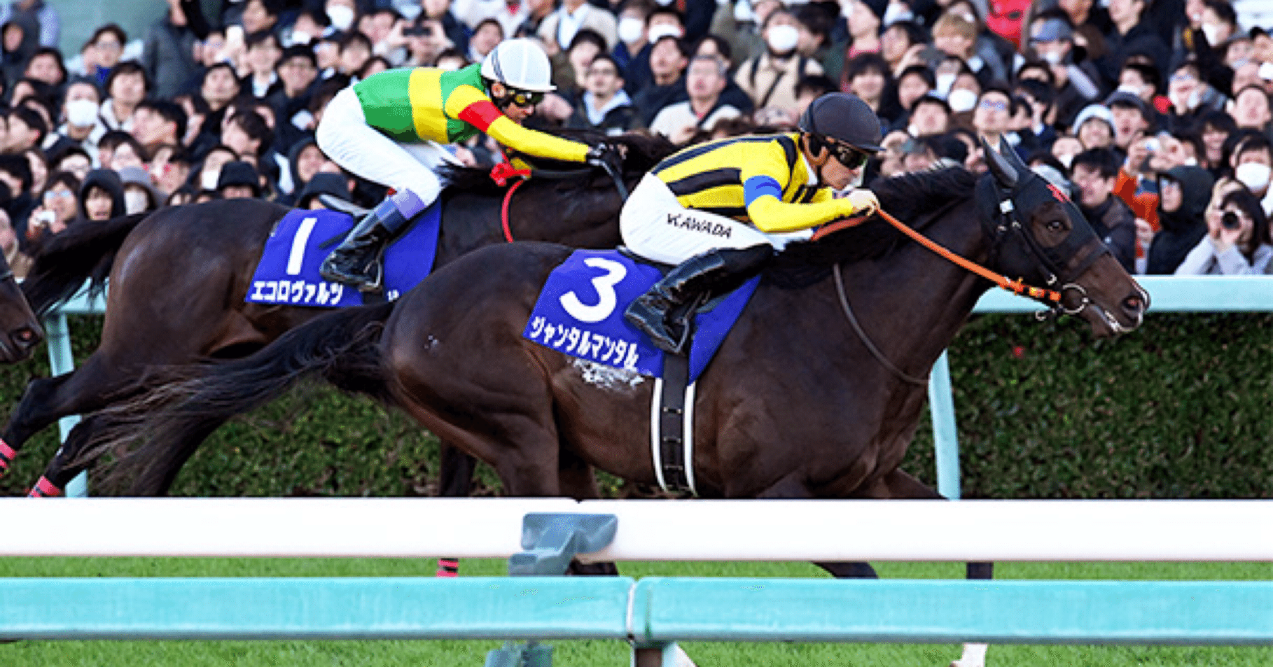 現地単勝 2001年 菊花賞 マンハッタンカフェ 2001年 菊花賞（GⅠ