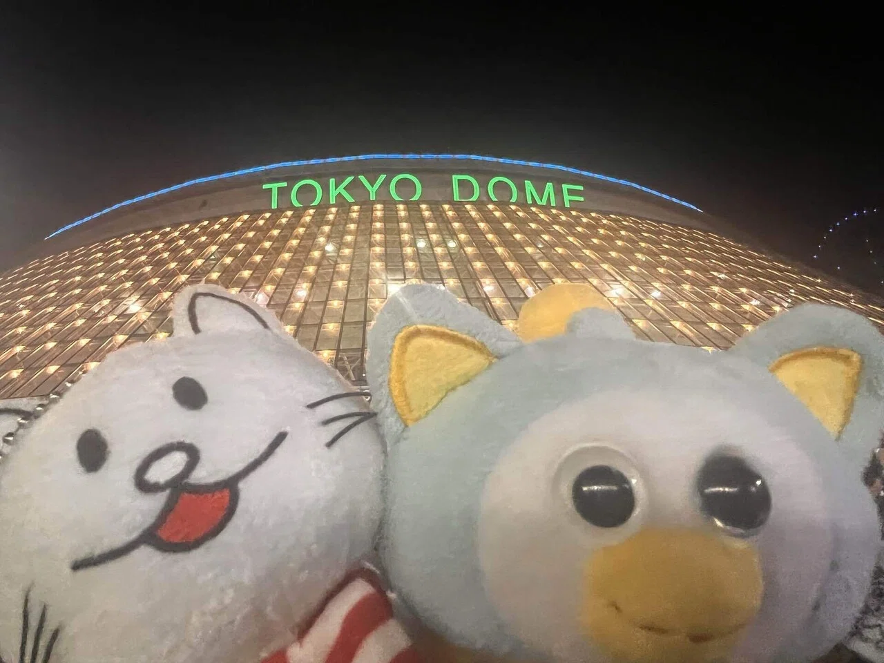 5年ぶりに同じ4人で東京ドームに行った話｜shimabou