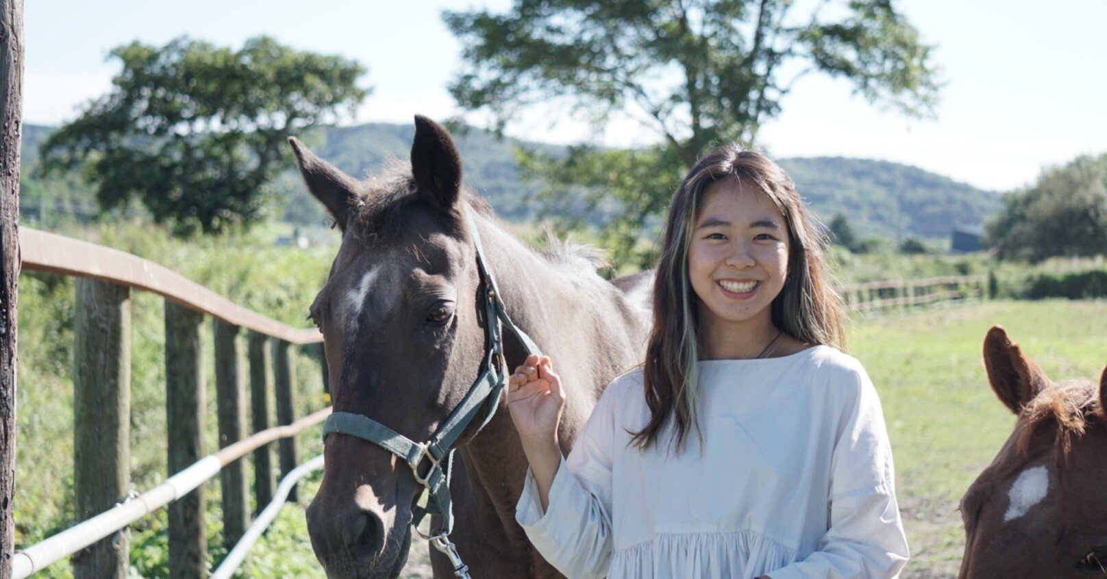 12 馬との日々（写真を添えて）｜凜