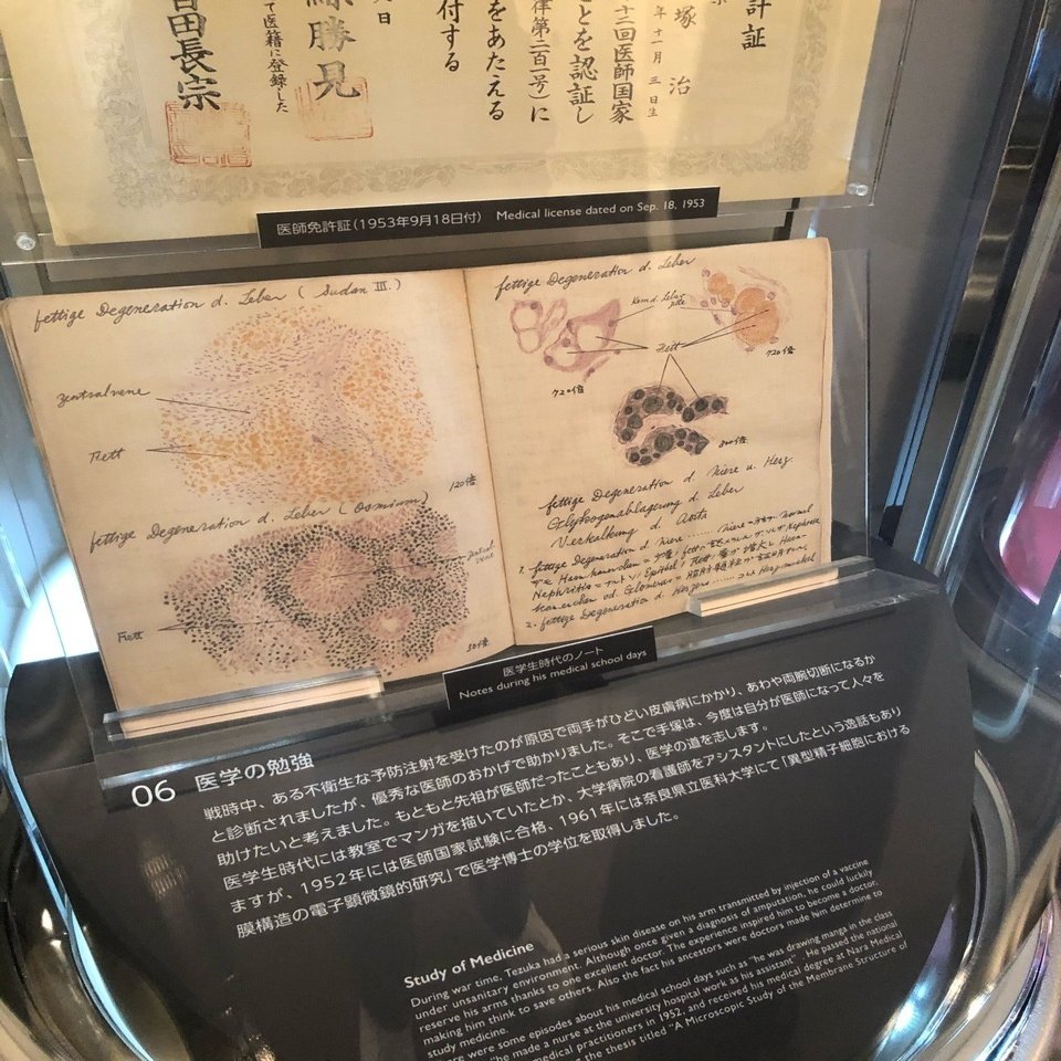 手塚治虫記念館レポ日記 常設展示室 猫田まんじまる Note