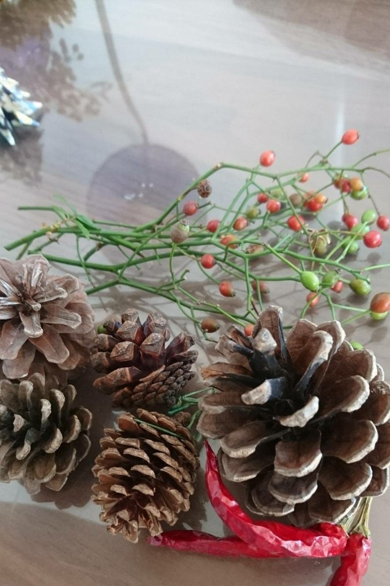 フレッシュクリスマスリースの作り方 白井製茶園 Note フレッシュクリスマスリースの作り方 白井製茶園 Note