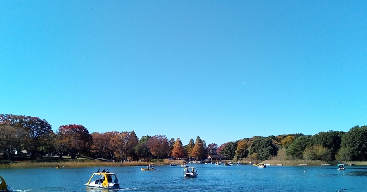 2024年11月23日 昭和記念公園5 水鳥の池とボート｜siouxcitizen
