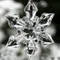 石井大六