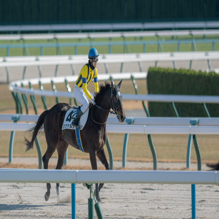 香港国際競走に行ってきた｜こんにちは
