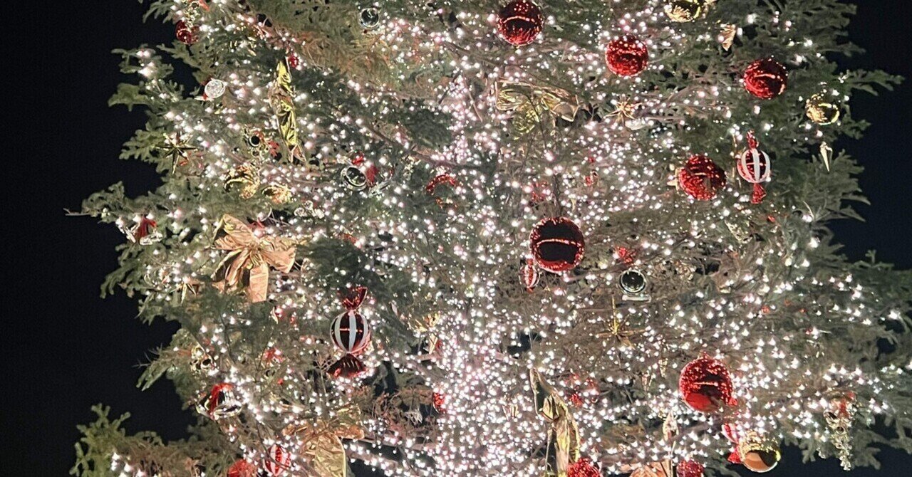 「クリスマスの約束」🎄2024観覧の夢が叶いました💓 🎶 ~その③決して忘れないこの日のことを~|Rose-ree