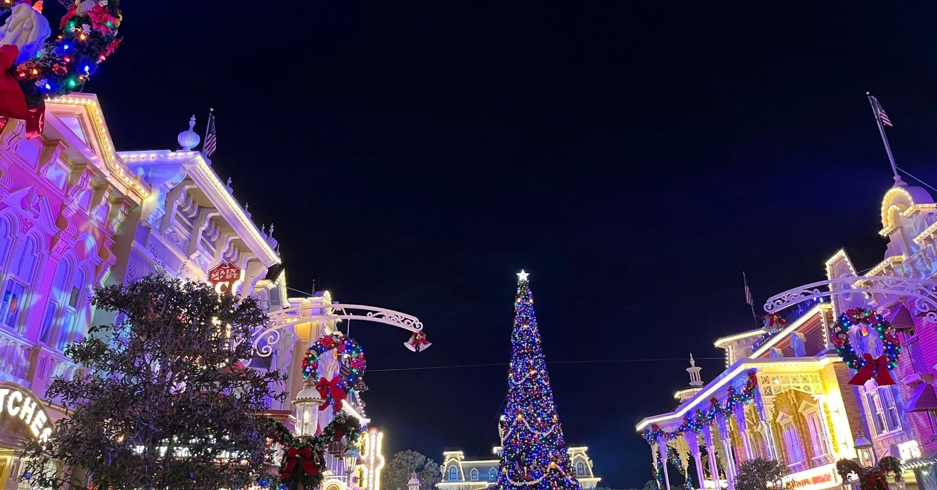 3399.昔の海外ディズニーワールドピン ベリーメリークリスマス チップとデール wdw旅行記 ベリーメリークリスマスパーティー｜雪瀬こう