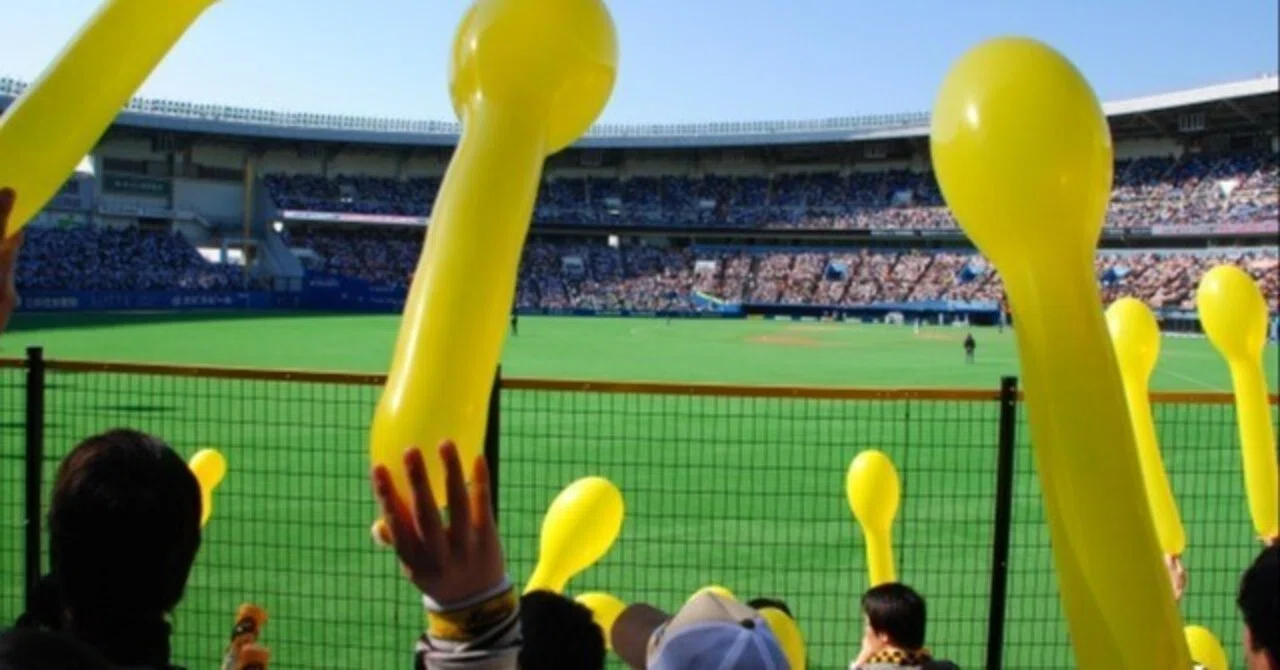 初心者でも楽しめる！スポーツ観戦の方法とコツ｜ミワ