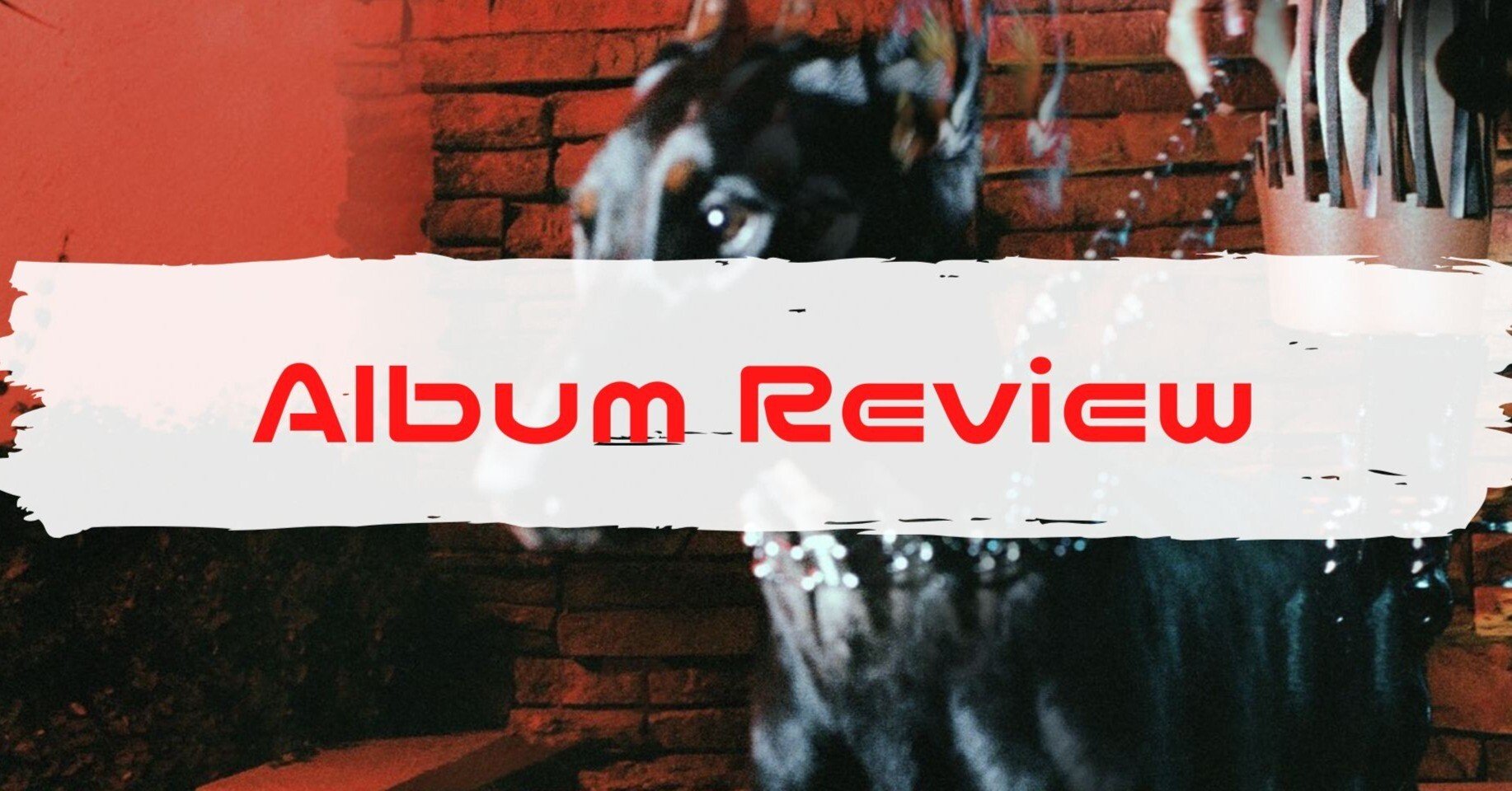 2024年おすすめ新譜アルバムVol. 84： Leon Thomas「MUTT」｜アボかど