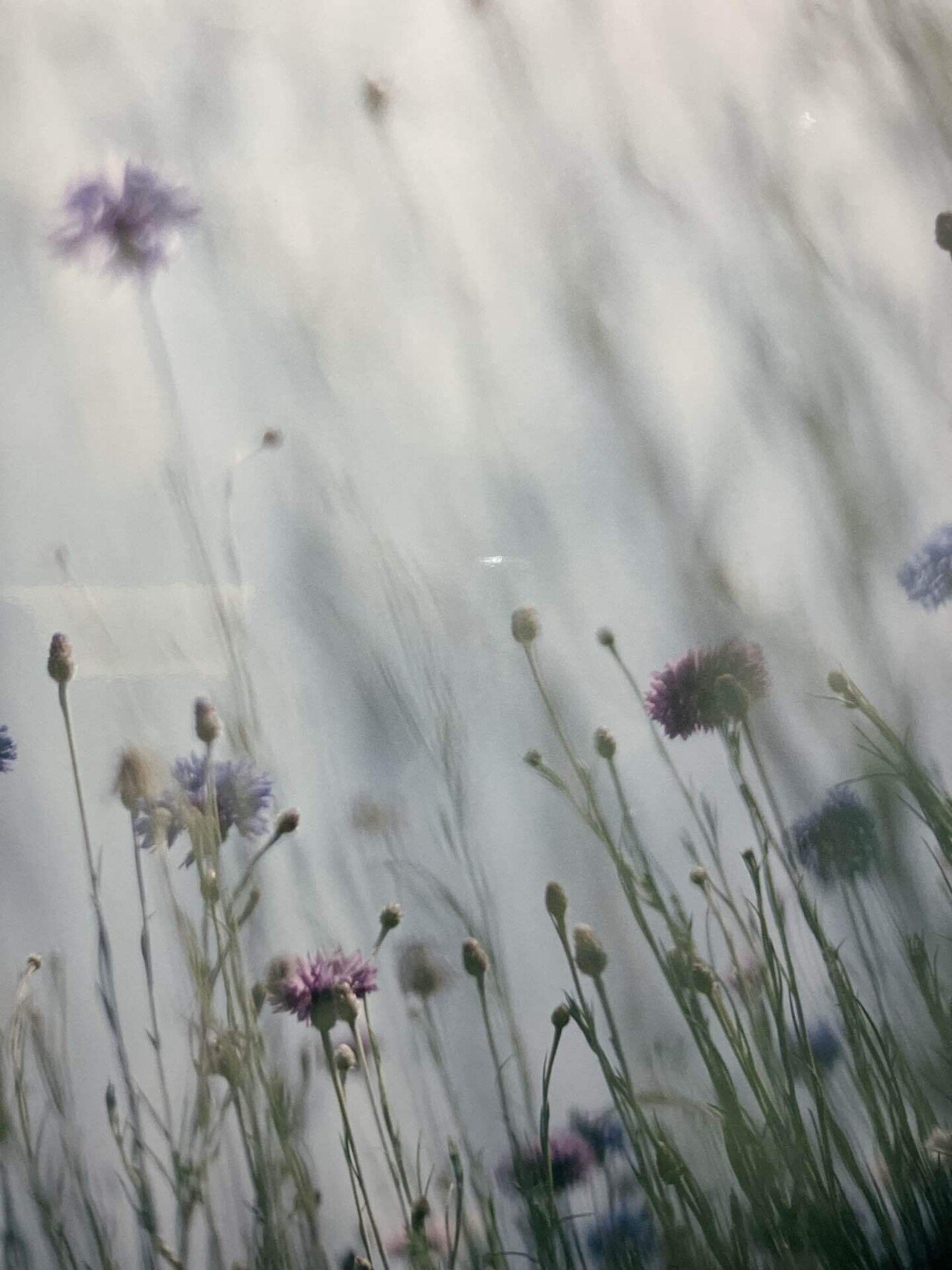 LUMIERE/PRIERE Mikiya Takimoto｜cinta
