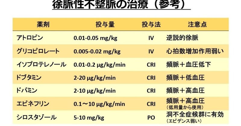 0100 徐脈性不整脈 獣医麻酔 集中治療学 Note