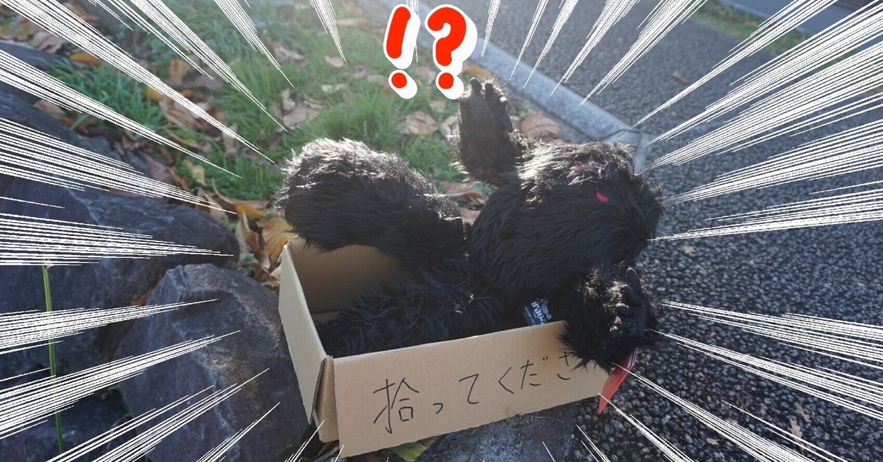 もんちゃんさま Amazon.co.jp: ももんちゃん どすこーい (ももんちゃん あそぼう