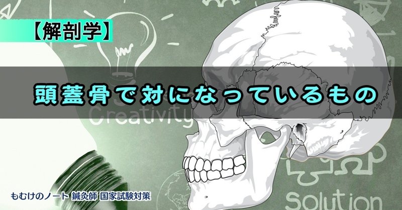 解剖学 図解 イラスト とゴロで簡単 対をなす頭蓋骨 まとめ の覚え方 森元塾 国家試験対策 Note