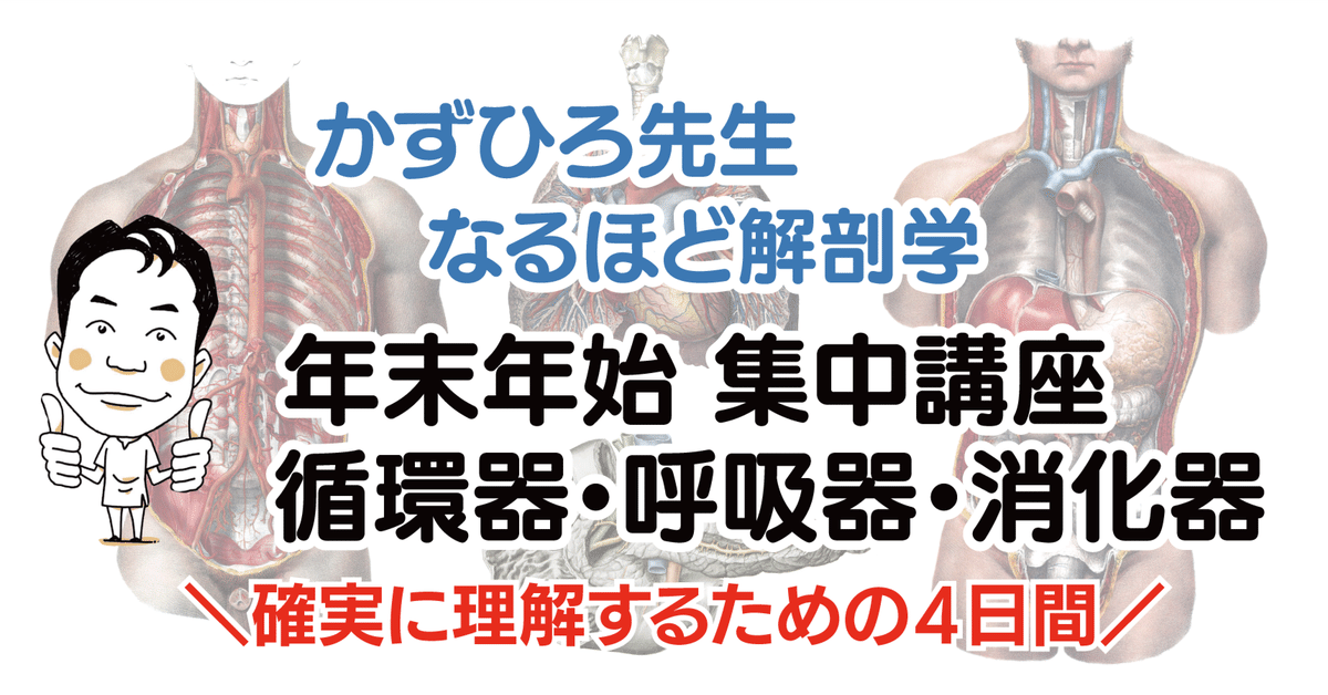 かずひろ先生【なるほど解剖学】年末年始集中講座 全4回（循環