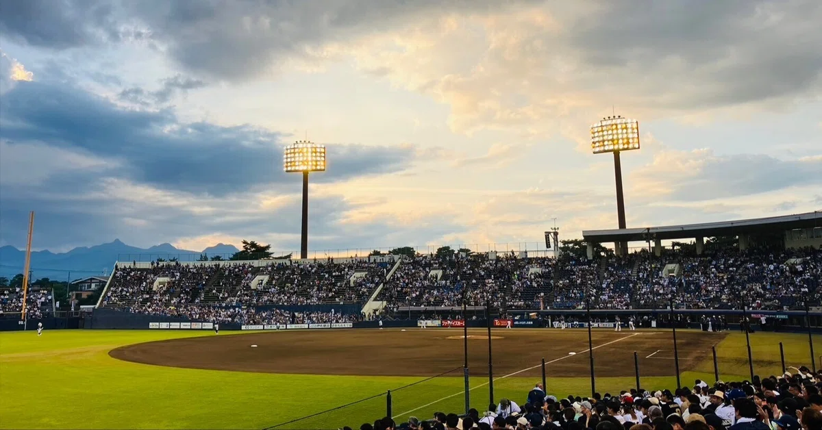 巨人 中日 群馬 敷島公園野球場 S席2枚 だれ