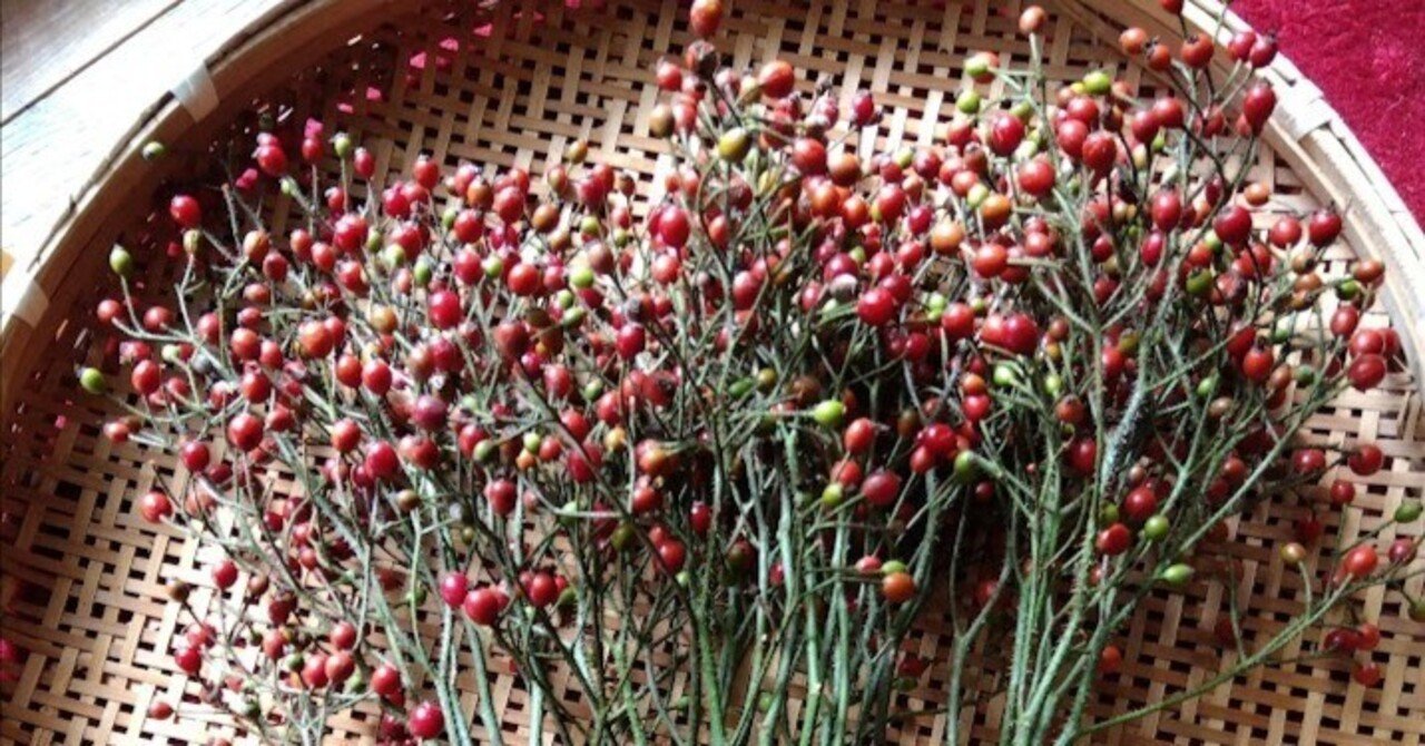 14,ローズヒップ 出品しました｜happy pine cone