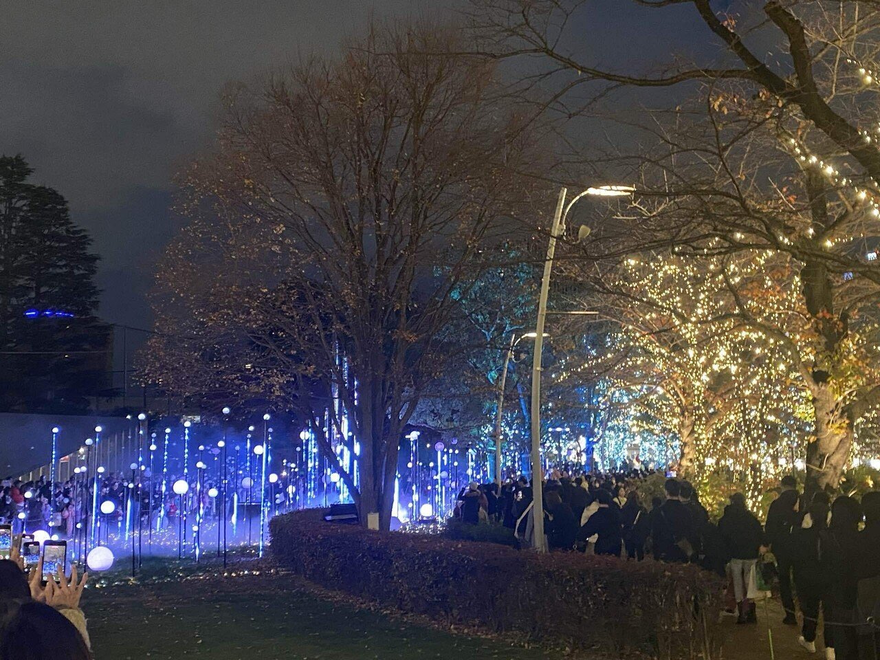 ◆節電球　24h　東京ミッドタウン特別賞　24個　まとめて　長時間ろうそく　24時間◆ 【5271】 東京ミッドタウン八重洲の2024年クリスマスイルミネーション、\u201c金継ぎ