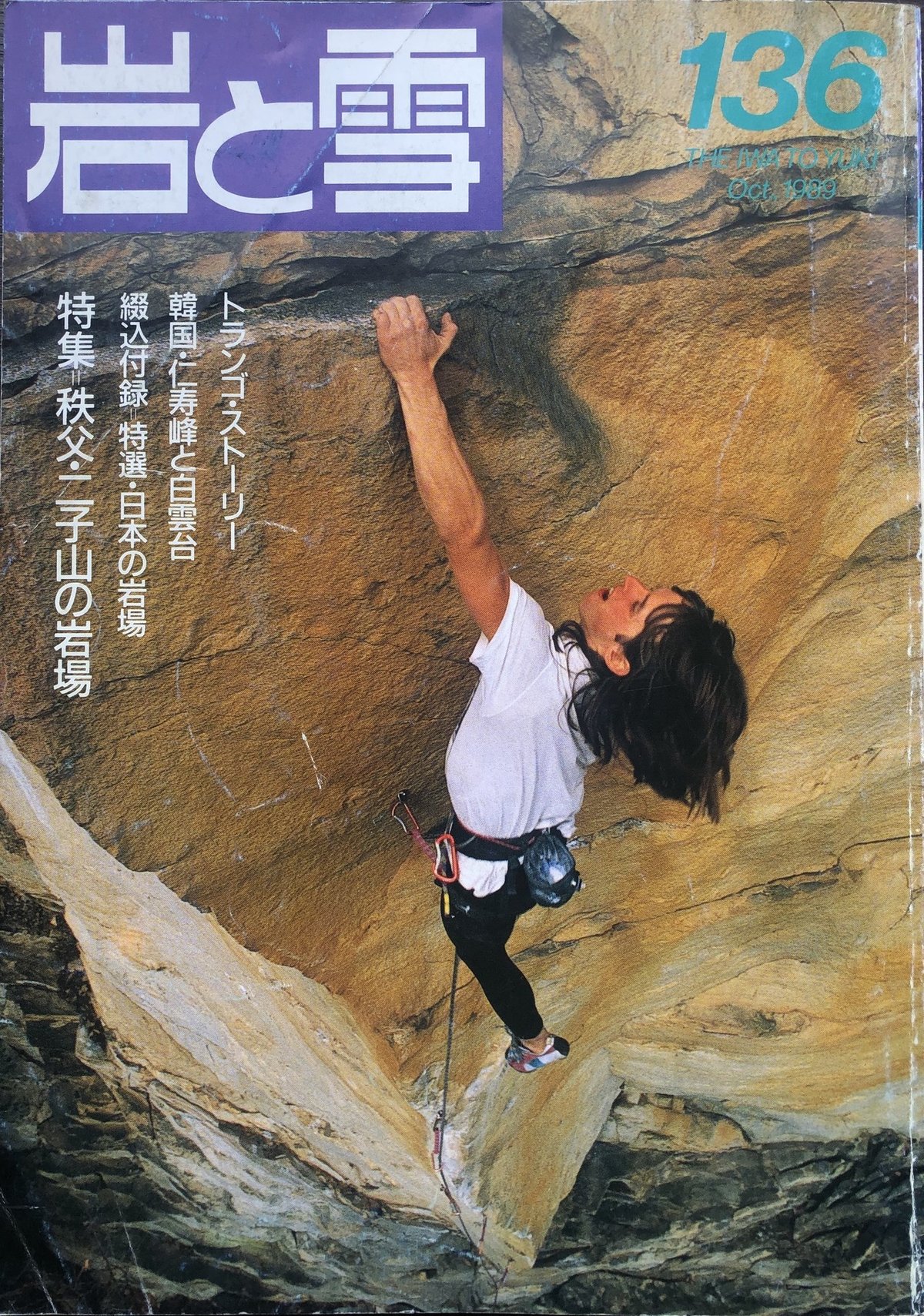 どんな手段を使ってもあとにはひけなかった｜GoClimbing さぁ  
