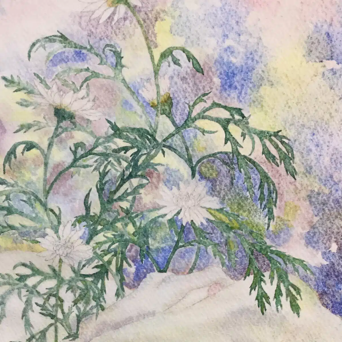 美鳥宝