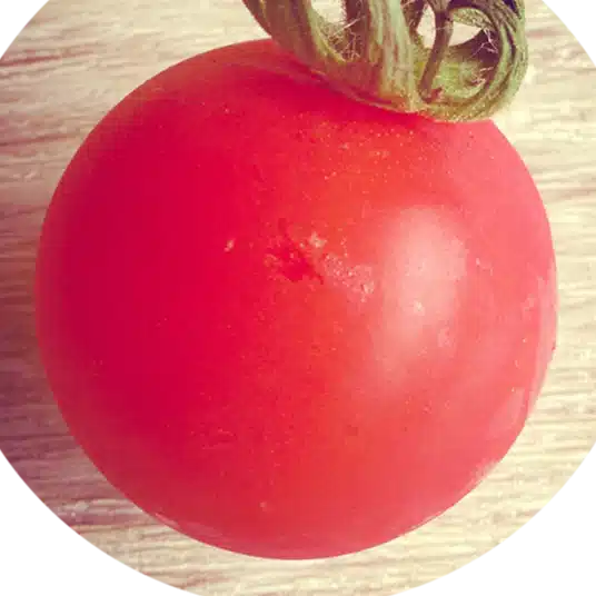pomodorosa