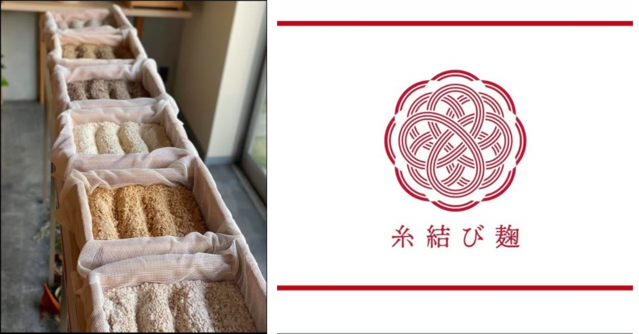 麹クリエイター協会 麹箱 麹箱 麹クリエイター協会 日本麹クリエイター 
