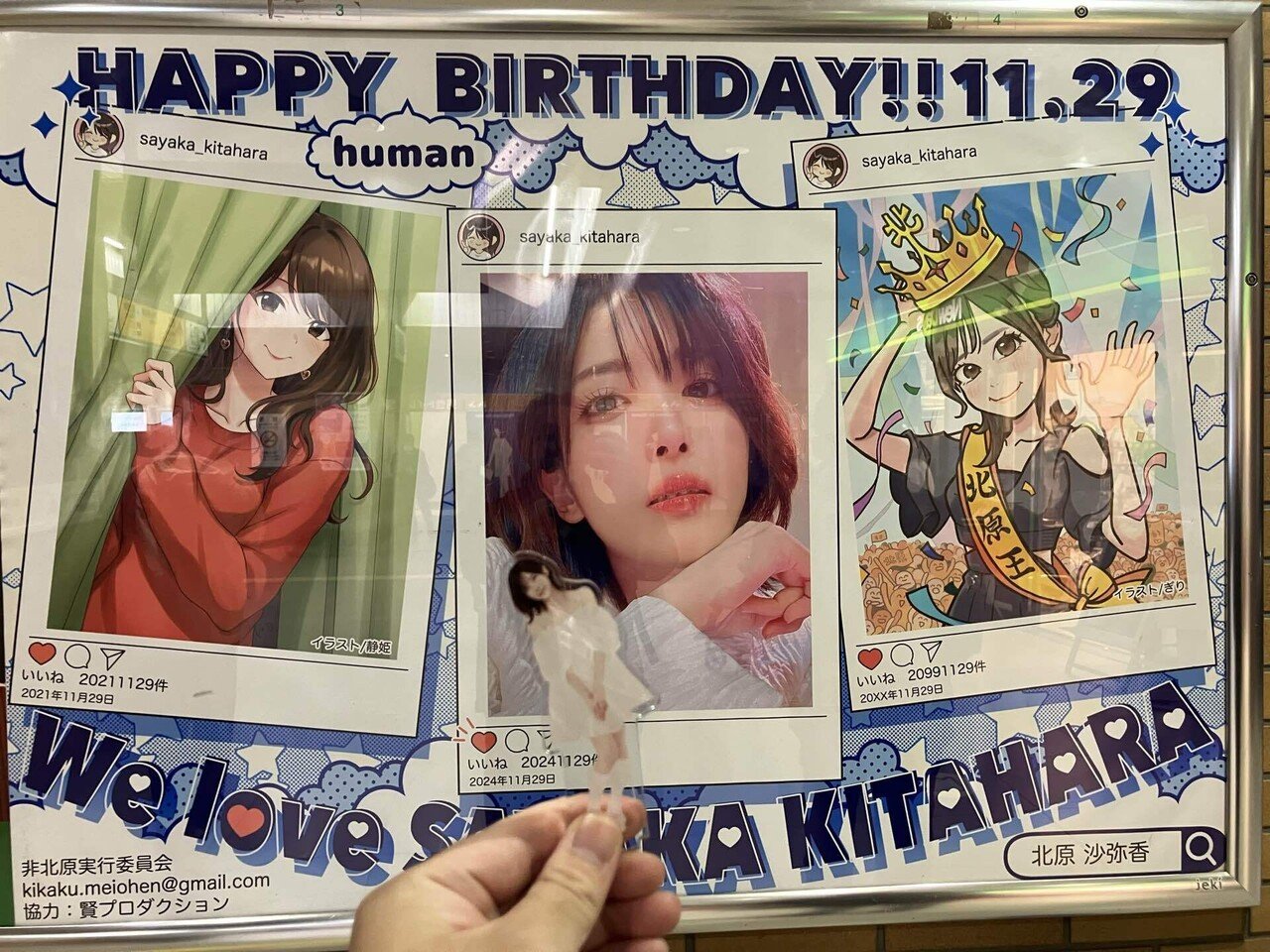 かめちゃん的ベストバイ5選 2024｜かめちゃん