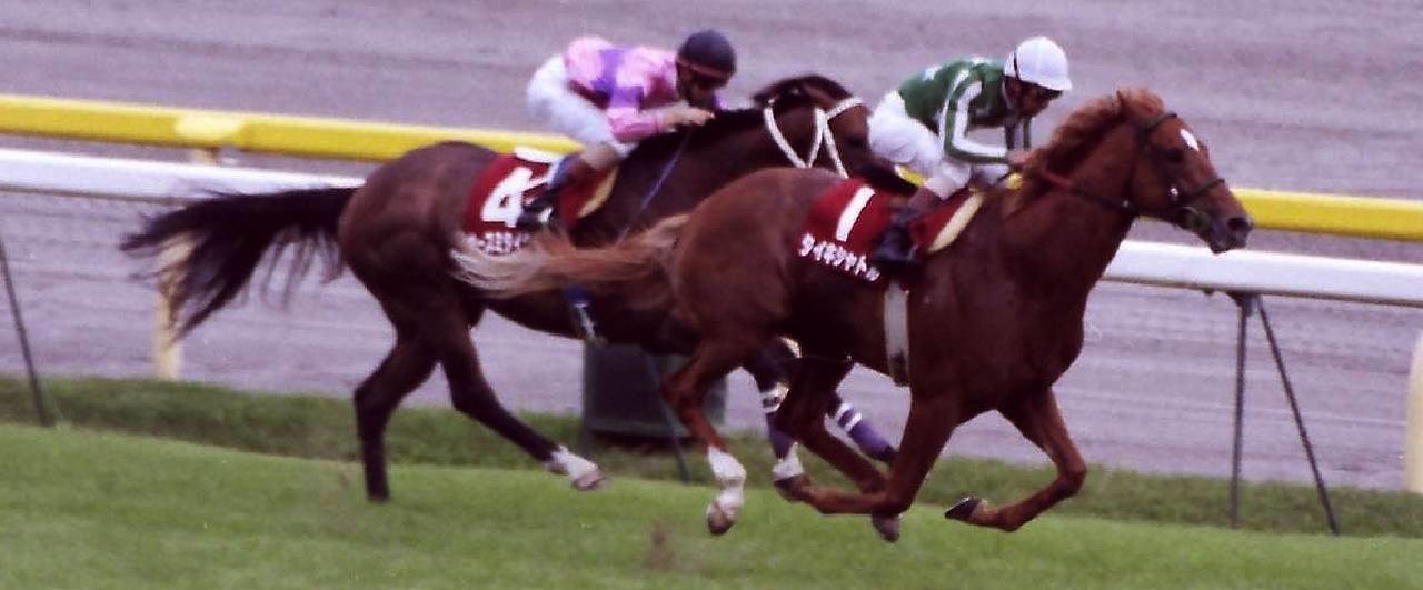 第43回京王杯スプリングC：蔵出し写真 1998年 ①タイキシャトル