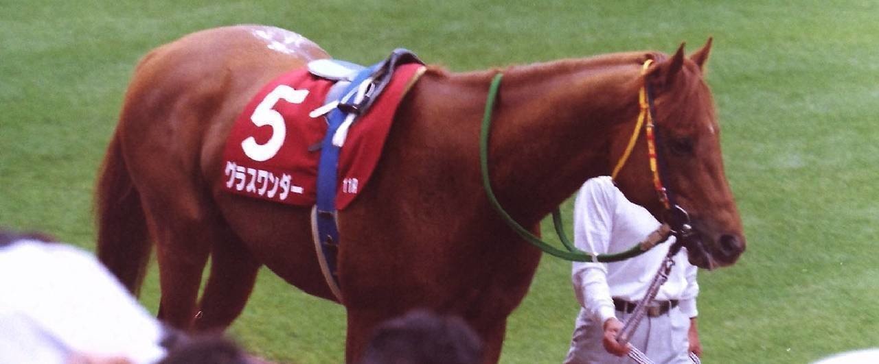 グラスワンダー 朝日杯 安田記念 京王杯SC 他 現地購入 5枚