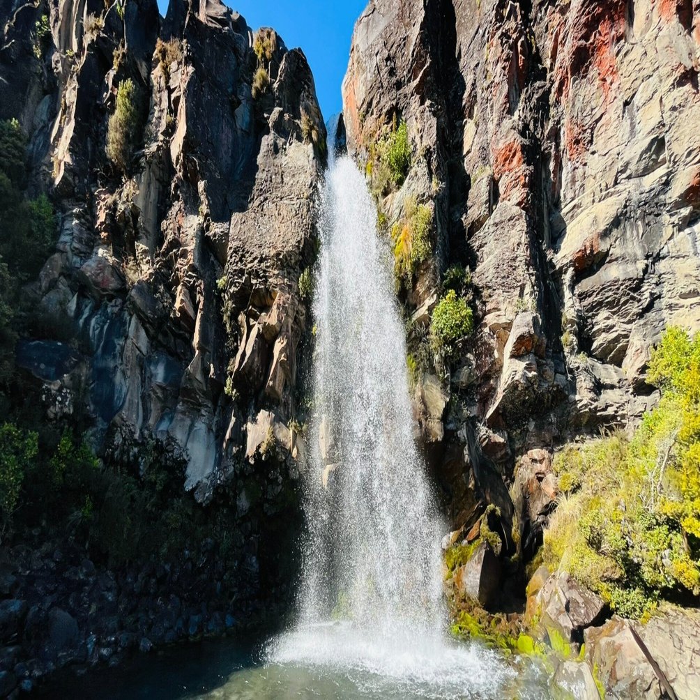 トンガリロ国立公園】タラナキフォール、おまけトレッキング | NZ