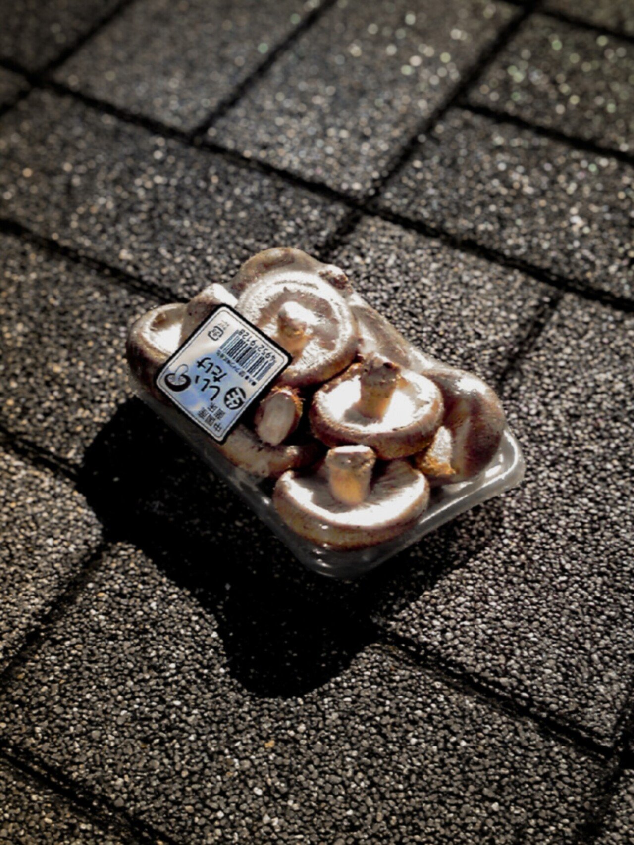 ガラケーのF706iで2010年に撮影した写真を補正。14年前のある日、道に