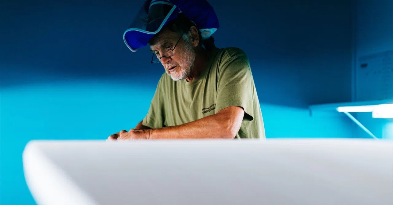 Wayne Rides Surfboard Wayne Lynch Surfboards取扱開始のお知らせ|RIDE SURF+SPORT