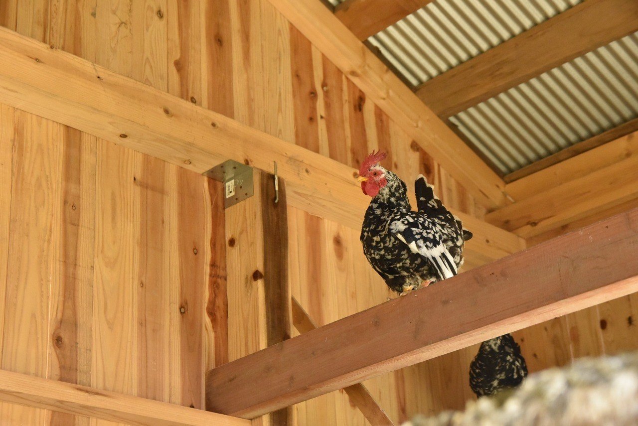 生きるために食べる 食べるためにつくる 映画 リトルフォレスト をみて Futoshi Matsuki Note