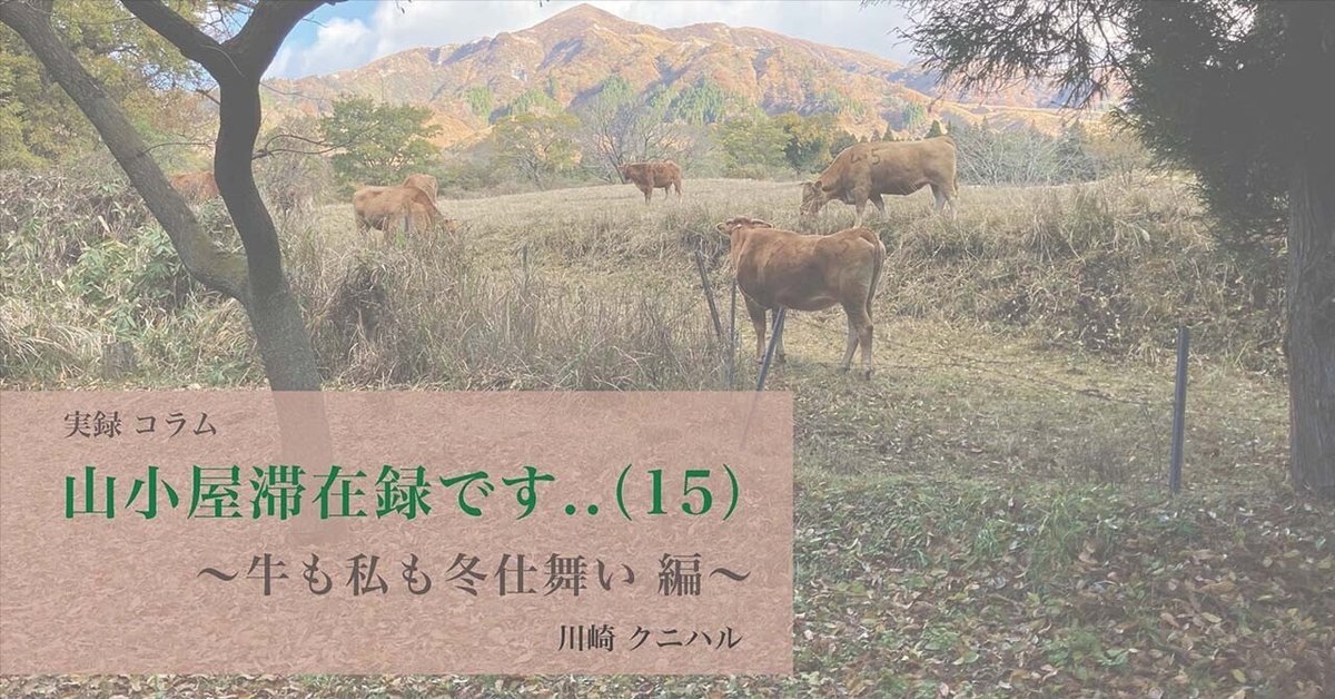 山小屋ページ 山小屋滞在録（15） 〜牛も私も冬仕舞い 編〜｜川崎クニハル