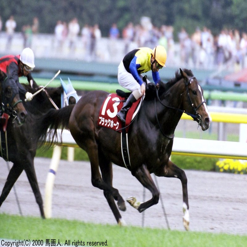 第45回京王杯スプリングc 蔵出し写真 00年 スティンガー 馬画人 まがじん Note