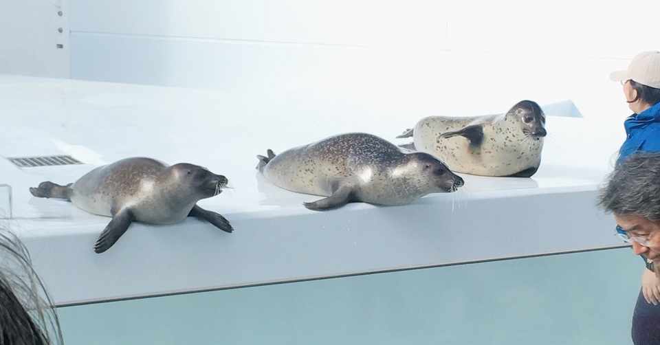 既読 未読無視してしまう人へ さっきゃん Note