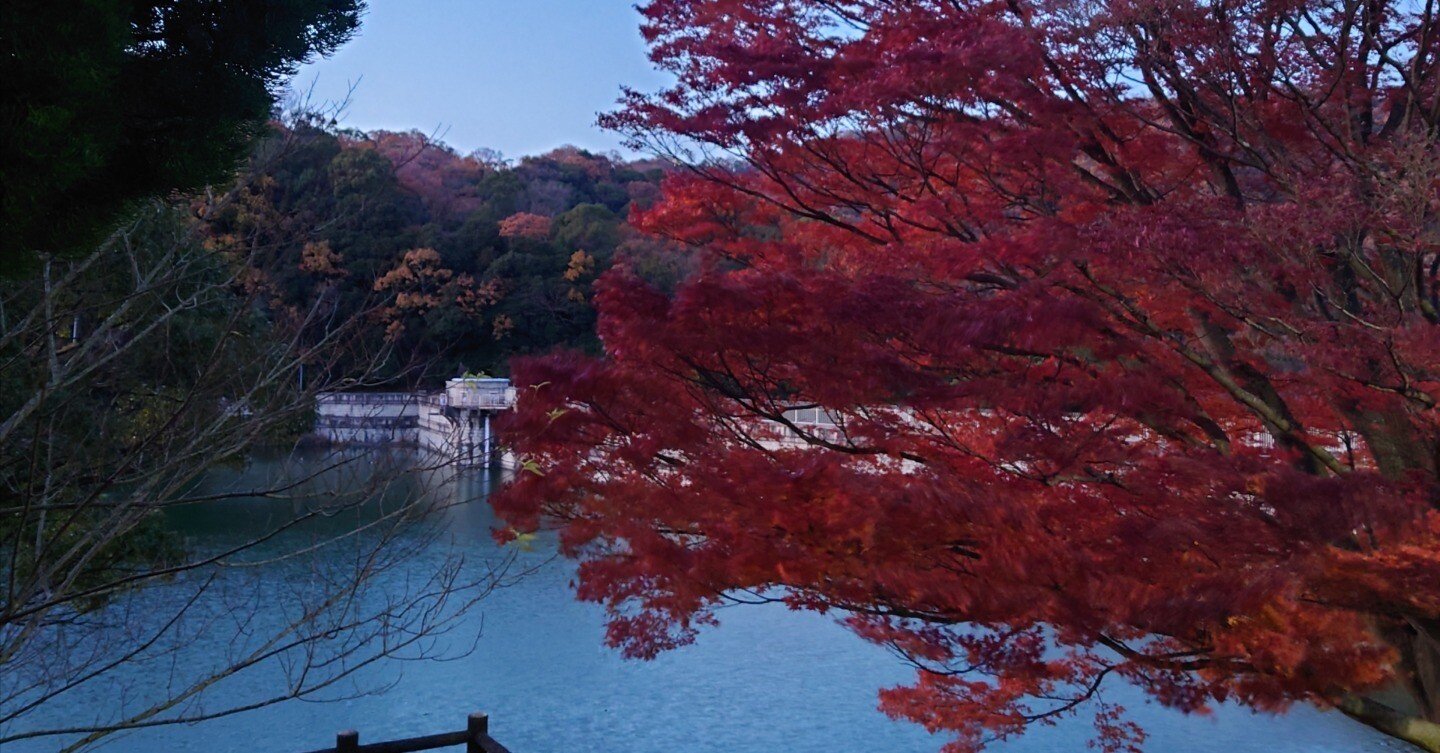 8210f64eb4c8389750abfcb11ac892