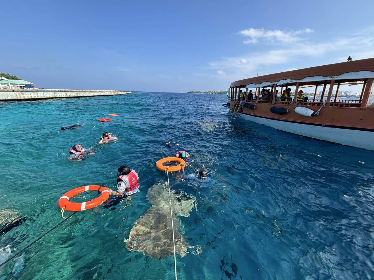 インド➡︎モルディブ🇲🇻🇲🇻 ）マレ島ツアーとシュノーケリングが