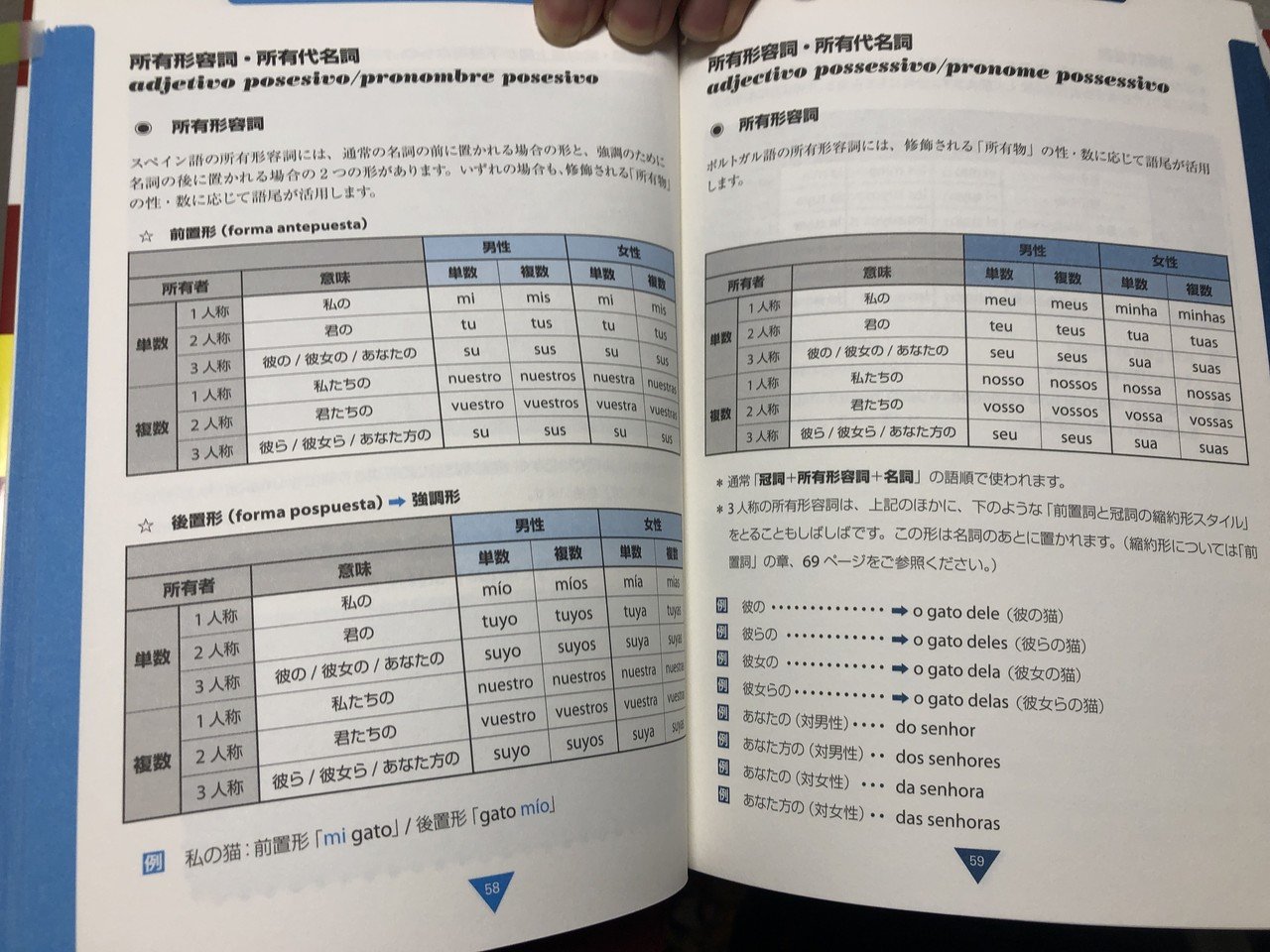 ポルトガル語の勉強におオススメの本7選🇧🇷🇵🇹📕|へんざん@J ポルトガル語の勉強におオススメの本7選🇧🇷🇵🇹📕|へんざん@J